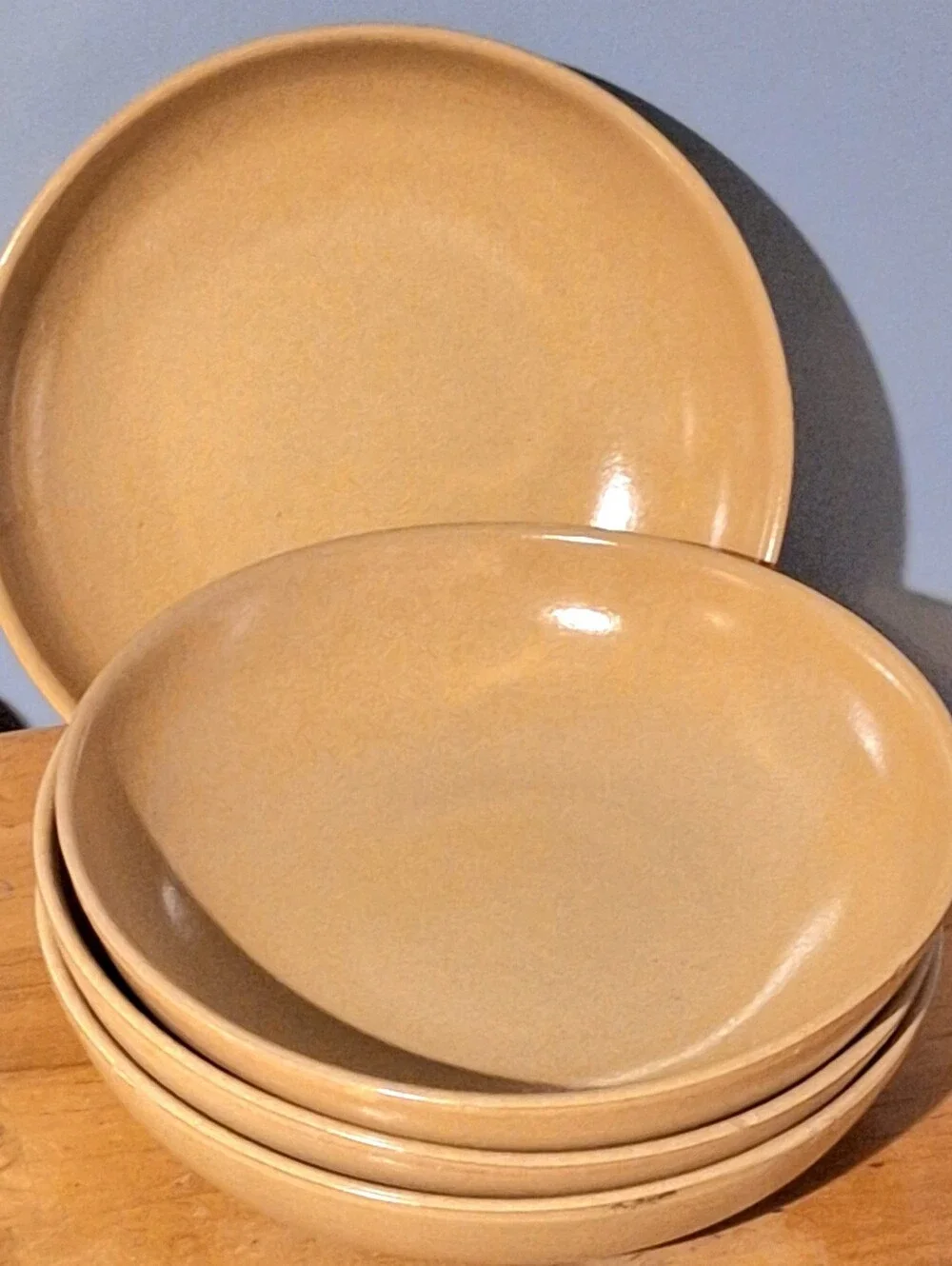 🍜 PIER 1 🍜 Stoneware, Pasta Bowl